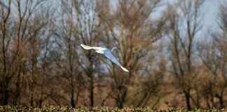 Teilnehmer: Bayer Leverkusen Gegen FC Bayern München Spielerbewertungen Teilnehmer: Bayer Leverkusen Gegen FC Bayern München Spielerbewertungen