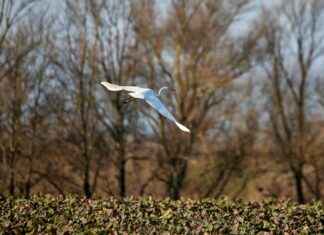 Teilnehmer: Bayer Leverkusen Gegen FC Bayern München Spielerbewertungen Teilnehmer: Bayer Leverkusen Gegen FC Bayern München Spielerbewertungen