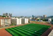 Teilnehmer: Brighton & Hove Albion Gegen FC Arsenal Statistiken Teilnehmer: Brighton & Hove Albion Gegen FC Arsenal Statistiken