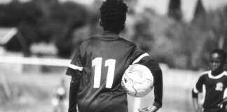 Teilnehmer: Brighton & Hove Albion Gegen Manchester United Statistiken Teilnehmer: Brighton & Hove Albion Gegen Manchester United Statistiken