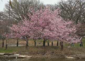 Teilnehmer: Chicago Bears Gegen Detroit Lions Spielerstatistiken Spiel Teilnehmer: Chicago Bears Gegen Detroit Lions Spielerstatistiken Spiel