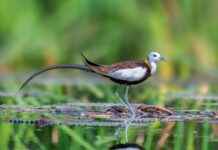 Teilnehmer: Dallas Cowboys Gegen Baltimore Ravens Spielerstatistiken Spiel Teilnehmer: Dallas Cowboys Gegen Baltimore Ravens Spielerstatistiken Spiel