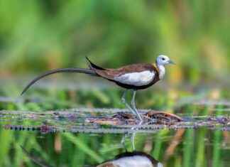 Teilnehmer: Dallas Cowboys Gegen Baltimore Ravens Spielerstatistiken Spiel Teilnehmer: Dallas Cowboys Gegen Baltimore Ravens Spielerstatistiken Spiel