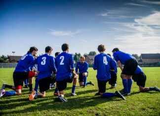 Teilnehmer: Detroit Lions Gegen Seattle Seahawks Spielerstatistiken Spiel Teilnehmer: Detroit Lions Gegen Seattle Seahawks Spielerstatistiken Spiel