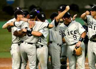 Teilnehmer: FC Bayern München Gegen Dinamo Zagreb Spielerbewertungen Teilnehmer: FC Bayern München Gegen Dinamo Zagreb Spielerbewertungen