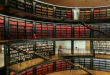 Teilnehmer: New England Patriots Gegen Miami Dolphins Spielerstatistiken Spiel Teilnehmer: New England Patriots Gegen Miami Dolphins Spielerstatistiken Spiel