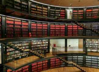 Teilnehmer: New England Patriots Gegen Miami Dolphins Spielerstatistiken Spiel Teilnehmer: New England Patriots Gegen Miami Dolphins Spielerstatistiken Spiel