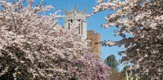 Teilnehmer: Seattle Seahawks Gegen Miami Dolphins Spielerstatistiken Spiel Teilnehmer: Seattle Seahawks Gegen Miami Dolphins Spielerstatistiken Spiel