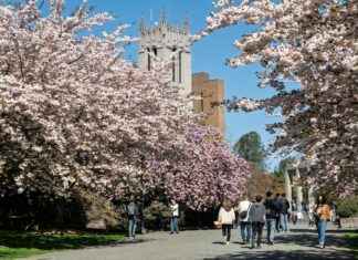 Teilnehmer: Seattle Seahawks Gegen Miami Dolphins Spielerstatistiken Spiel Teilnehmer: Seattle Seahawks Gegen Miami Dolphins Spielerstatistiken Spiel