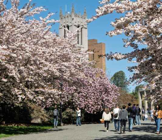 Teilnehmer: Seattle Seahawks Gegen Miami Dolphins Spielerstatistiken Spiel Teilnehmer: Seattle Seahawks Gegen Miami Dolphins Spielerstatistiken Spiel