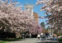 Teilnehmer: Seattle Seahawks Gegen New York Giants Spielerstatistiken Spiel Teilnehmer: Seattle Seahawks Gegen New York Giants Spielerstatistiken Spiel