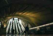 Teilnehmer: SV Babelsberg 03 Gegen Energie Cottbus Statistiken Teilnehmer: SV Babelsberg 03 Gegen Energie Cottbus Statistiken