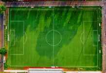 Teilnehmer: Tampa Bay Buccaneers Gegen Baltimore Ravens Spielerstatistiken Spiel Teilnehmer: Tampa Bay Buccaneers Gegen Baltimore Ravens Spielerstatistiken Spiel