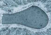 Teilnehmer: Tennessee Titans Gegen Green Bay Packers Spielerstatistiken Spiel Teilnehmer: Tennessee Titans Gegen Green Bay Packers Spielerstatistiken Spiel