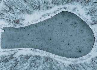 Teilnehmer: Tennessee Titans Gegen Green Bay Packers Spielerstatistiken Spiel Teilnehmer: Tennessee Titans Gegen Green Bay Packers Spielerstatistiken Spiel