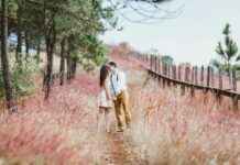 Teilnehmer: TSG 1899 Hoffenheim Gegen FC St. Pauli Statistiken Teilnehmer: TSG 1899 Hoffenheim Gegen FC St. Pauli Statistiken