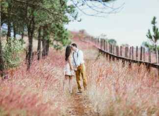 Teilnehmer: TSG 1899 Hoffenheim Gegen FC St. Pauli Statistiken Teilnehmer: TSG 1899 Hoffenheim Gegen FC St. Pauli Statistiken