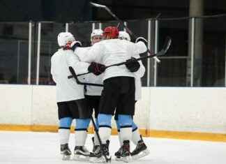 Ticker: Teilnehmer: Al-Nassr FC Gegen Al-Ain FC Ticker: Teilnehmer: Al-Nassr FC Gegen Al-Ain FC