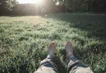 Ticker: Teilnehmer: Dynamo Dresden Gegen Rot-Weiss Essen Ticker: Teilnehmer: Dynamo Dresden Gegen Rot-Weiss Essen