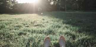 Ticker: Teilnehmer: Dynamo Dresden Gegen Rot-Weiss Essen Ticker: Teilnehmer: Dynamo Dresden Gegen Rot-Weiss Essen