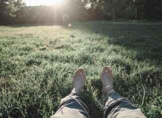 Ticker: Teilnehmer: Dynamo Dresden Gegen Rot-Weiss Essen Ticker: Teilnehmer: Dynamo Dresden Gegen Rot-Weiss Essen