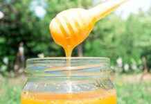 Bio-Importe: Betrug bei Honig, Hirse und Bulgur aufgedeckt bio-mporte-betrug-bei-honig-hirse-und-bulgur-aufgedeckt