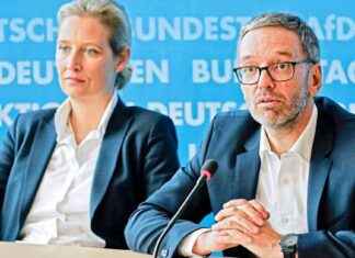 Die FPÖ: Potenzielles Fall für den Verfassungsschutz in Deutschland die-fp-potenzielles-fall-fr-den-verfassungsschutz-in-deutschland