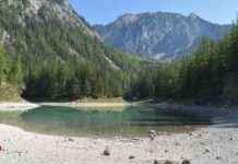 Die Rückkehr des Wassers in den Grünen See: Langsamer Prozess der Regeneration die-rckkehr-des-wassers-in-den-grnen-see-langsamer-prozess-der-regeneration