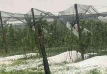 Hagel und Regen verursachen schwerwiegende Schäden in der Steiermark hagel-und-regen-verursachen-schwerwiegende-schden-in-der-steiermark