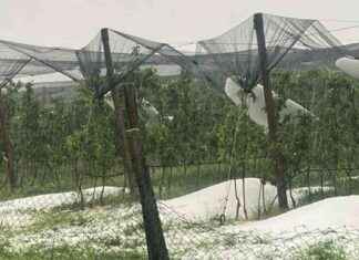 Hagel und Regen verursachen schwerwiegende Schäden in der Steiermark hagel-und-regen-verursachen-schwerwiegende-schden-in-der-steiermark