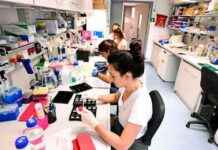 Nobelpreis für Niederösterreich: Mikl-Leitners realistischer Traum nobelpreis-fr-niedersterreich-mikl-leitners-realistischer-traum