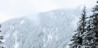 St Anton Am Arlberg Österreich: Warum Dieser Skiort Unvergesslich Ist