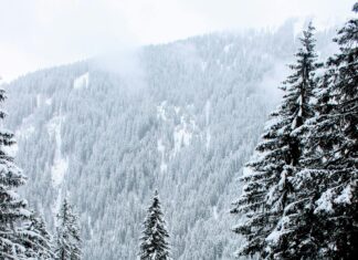 St Anton Am Arlberg Österreich: Warum Dieser Skiort Unvergesslich Ist