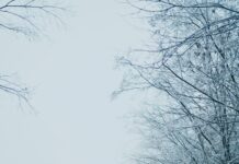 7 Tage Wetter Österreich: Wie Wird Das Wetter Diese Woche?