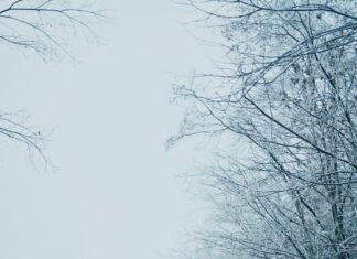 7 Tage Wetter Österreich: Wie Wird Das Wetter Diese Woche?