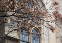 Stephansdom Stephansplatz Wien Österreich – Geheimtipps Entdecken!