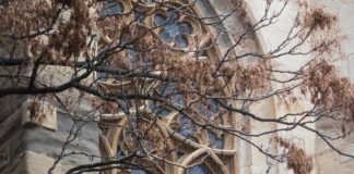 Stephansdom Stephansplatz Wien Österreich – Geheimtipps Entdecken!