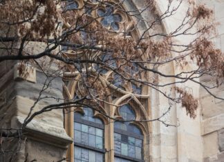 Stephansdom Stephansplatz Wien Österreich – Geheimtipps Entdecken!