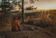 Wie Viele Einwohner Hat Österreich: Faszinierende Fakten Entdecken