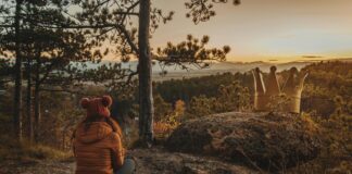 Wie Viele Einwohner Hat Österreich: Faszinierende Fakten Entdecken