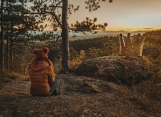 Wie Viele Einwohner Hat Österreich: Faszinierende Fakten Entdecken