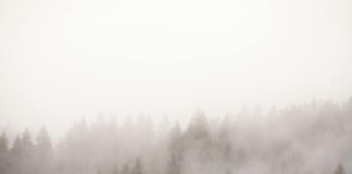 Österreich St Johann Tirol: Entdecke Das Verborgene Alpenparadies!