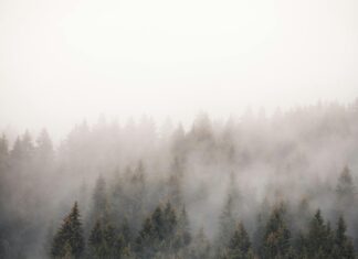 Österreich St Johann Tirol: Entdecke Das Verborgene Alpenparadies!