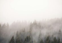 St. Johann In Tirol Österreich: Entdecke Das Verborgene Alpenparadies!