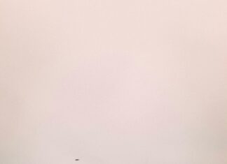 Ist Österreich In Der EU: Warum Es Für Sie Wichtiger Ist Als Sie Denken