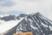 Hüttendorf Maria Alm Österreich: Entdecke Das Versteckte Alpenparadies!