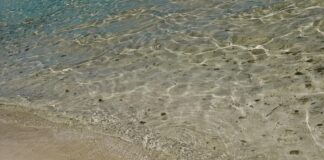 Urlaub Mit Hund Österreich: Entdecke Die Schönsten Abenteuer!