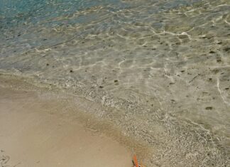 Urlaub Mit Hund Österreich: Entdecke Die Schönsten Abenteuer!