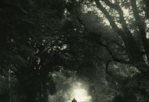 Wellnesshotel Engel Grän Österreich: Warum Es Ihr Traumziel Ist