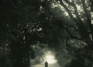 Wellnesshotel Engel Grän Österreich: Warum Es Ihr Traumziel Ist